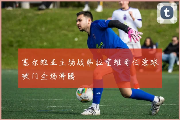 塞尔维亚主场战弗拉霍维奇任意球破门全场沸腾