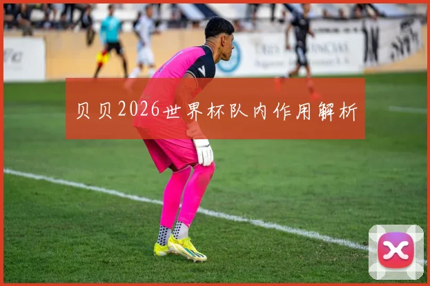 贝贝2026世界杯队内作用解析