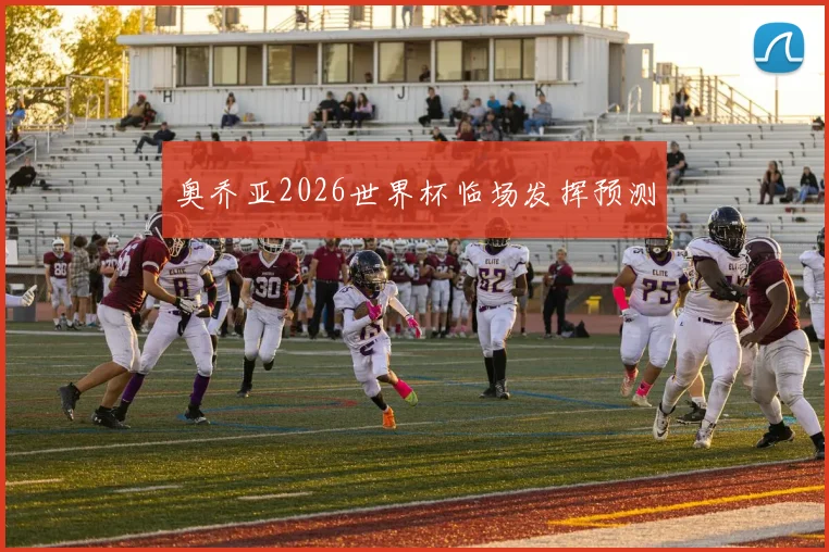 奥乔亚2026世界杯临场发挥预测
