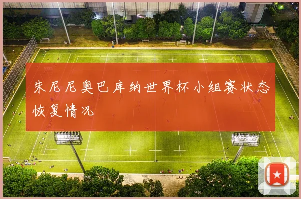 朱尼尼奥巴库纳世界杯小组赛状态恢复情况