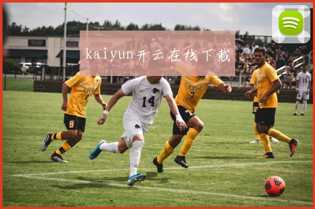 kaiyun开云在线下载