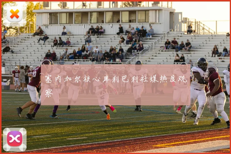 塞内加尔核心库利巴利社媒热度观察