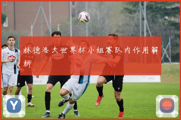 林德洛夫世界杯小组赛队内作用解析