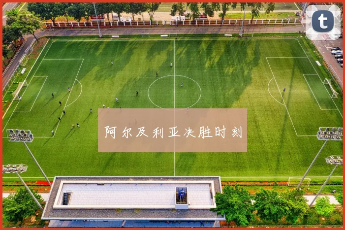 阿尔及利亚决胜时刻