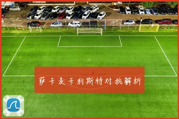 萨卡麦卡利斯特对抗解析