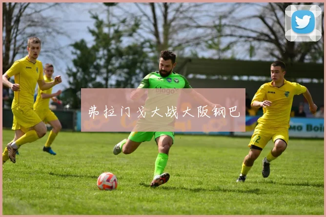 弗拉门戈大战大阪钢巴