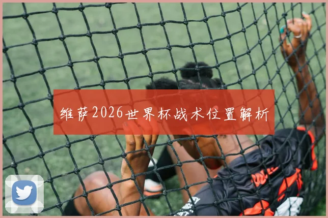 维萨2026世界杯战术位置解析