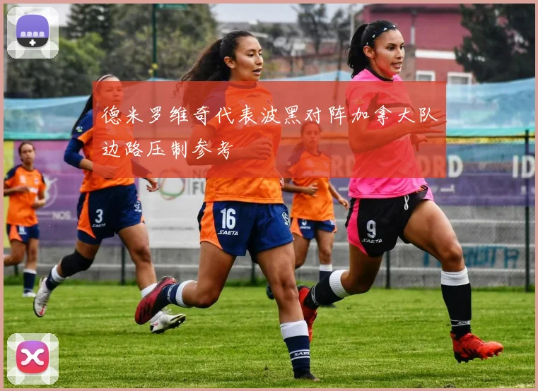 德米罗维奇代表波黑对阵加拿大队边路压制参考