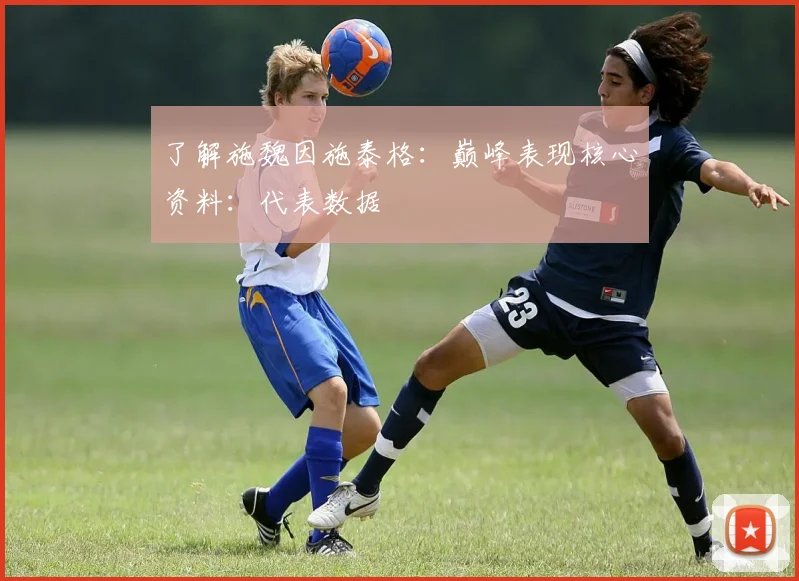 了解施魏因施泰格：巅峰表现核心资料：代表数据