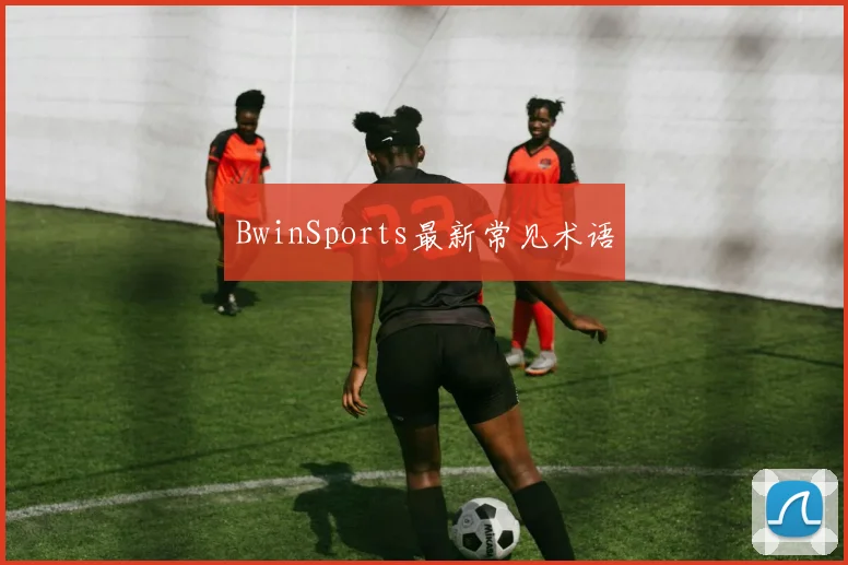 BwinSports最新常见术语